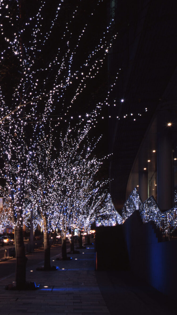六本木ヒルズ　けやき坂クリスマスイルミネーション Snow & Blue 2003